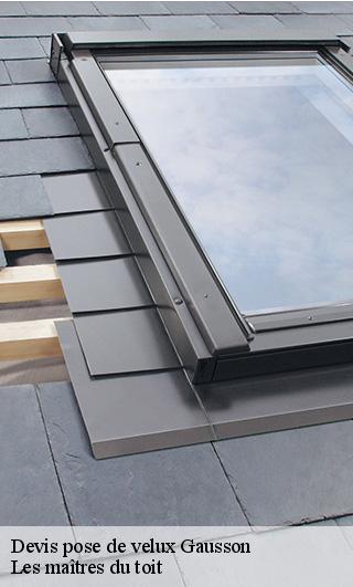 Devis pose de velux 22150