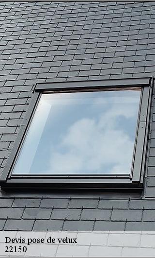 Devis pose de velux 22150