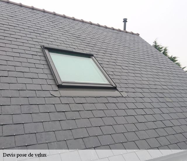 Devis pose de velux 22150