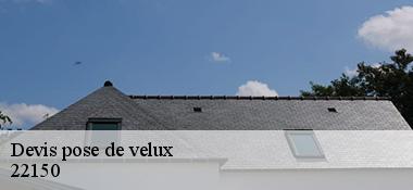 Devis pose de velux 22150