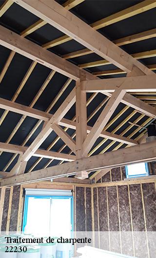 Traitement de charpente 22230