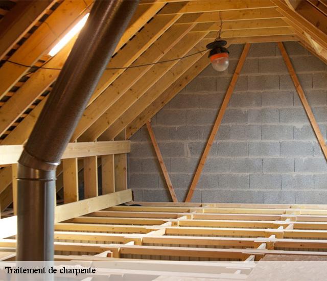 Traitement de charpente 22230