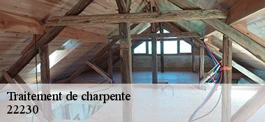 Traitement de charpente 22230